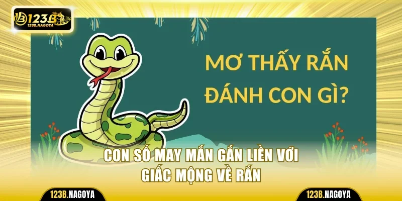 Con số may mắn gắn liền với giấc mộng về rắn