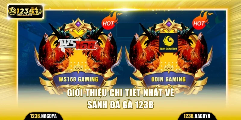 Giới thiệu sảnh Đá gà 123B