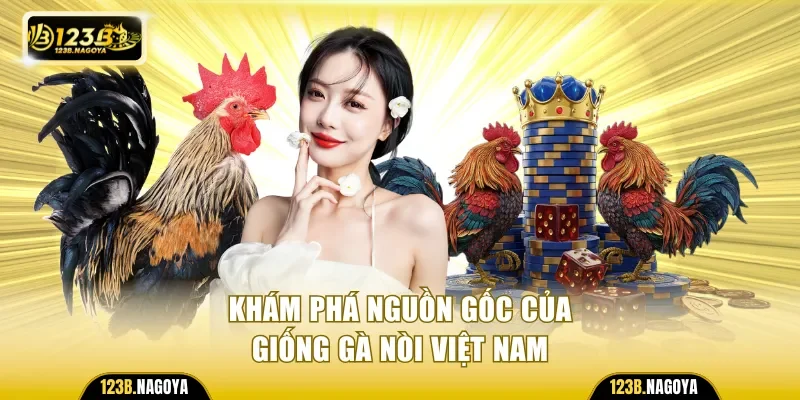 Khám phá nguồn gốc của giống gà nòi Việt Nam