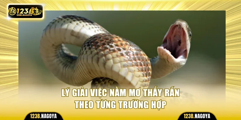 Lý giải việc nằm mơ thấy rắn theo từng trường hợp