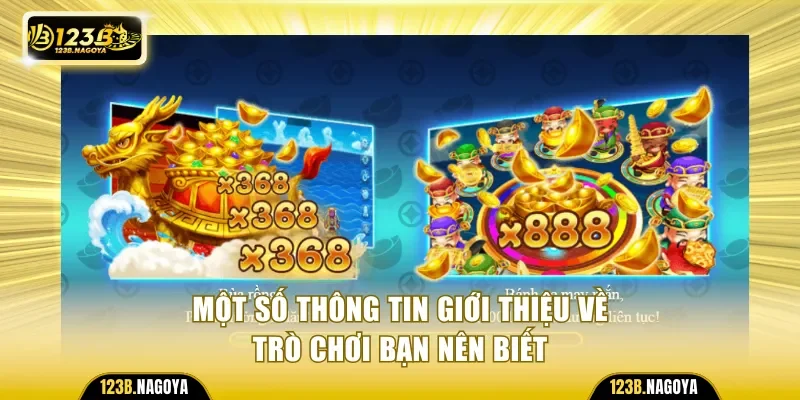 Một số thông tin giới thiệu về trò chơi bạn nên biết