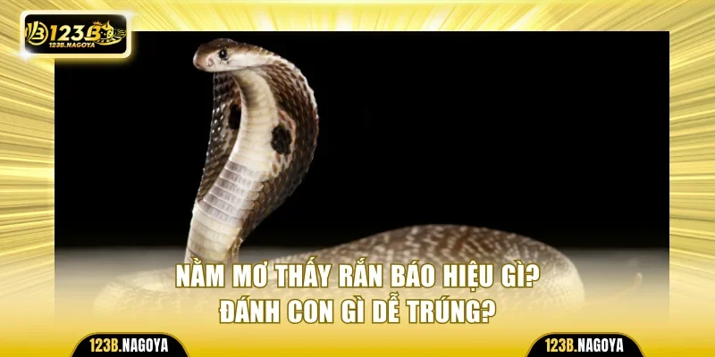 Nằm Mơ Thấy Rắn