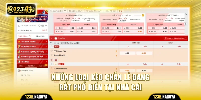 Những loại kèo chẵn lẻ đang rất phổ biến tại nhà cái