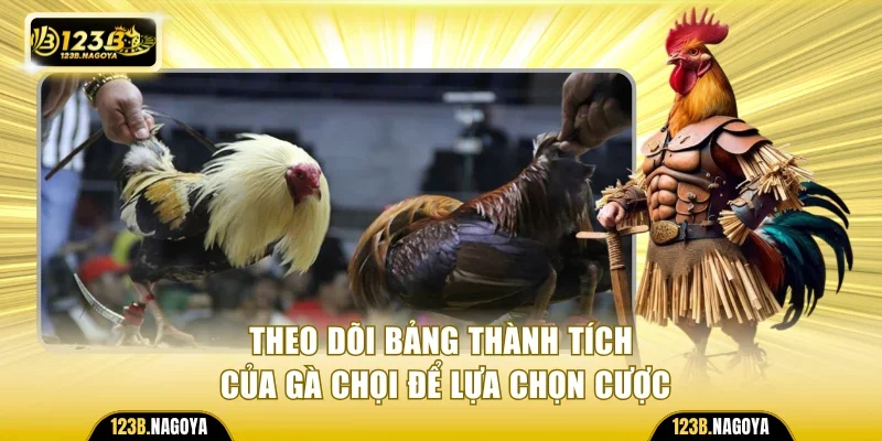 Theo dõi bảng thành tích của gà chọi để lựa chọn cược