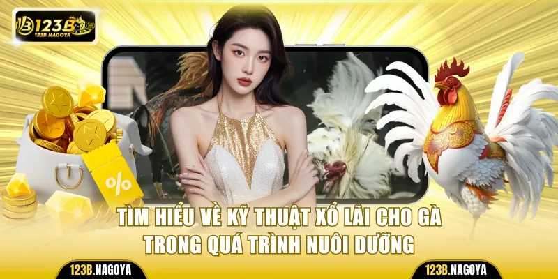 Tìm hiểu về kỹ thuật xổ lãi cho gà trong quá trình nuôi dưỡng